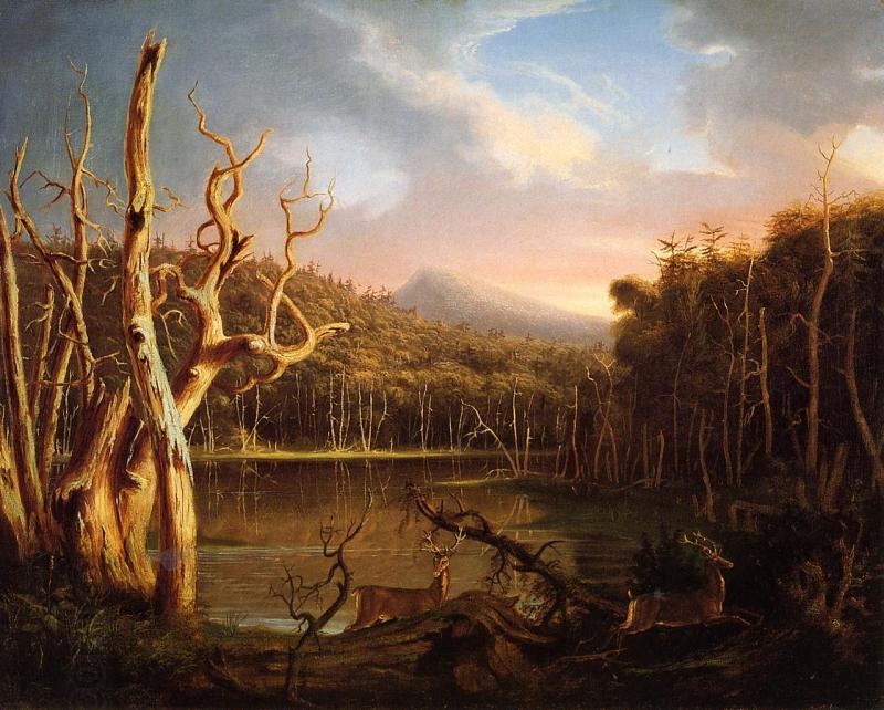 Thomas Cole Lake with Dead Trees China oil painting art